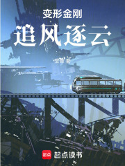 變形金剛追風逐云