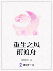 重生之風雨渡舟