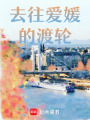 去往愛媛的渡輪