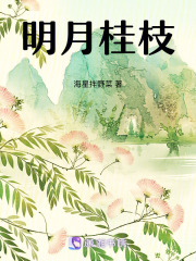 明月桂枝