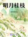 明月桂枝