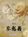 何以寥慰藉