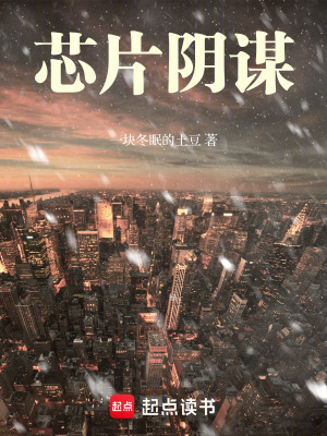 芯片陰謀
