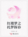 紅樓夢(mèng)之托夢(mèng)探春