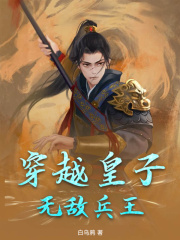 穿越皇子，无敌兵王免费阅读，穿越皇子，无敌兵王永康夏士诚小说无弹窗阅读