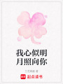 我心似明月照向你