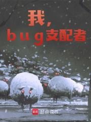 我，bug支配者免费阅读（白皖刘彤）小说完结版
