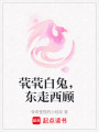 煢煢白兔，東走西顧