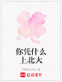 你憑什么上北大