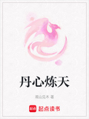丹心煉天