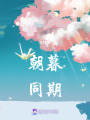 朝暮同期
