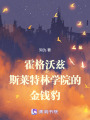 霍格沃茲：斯萊特林學院的金錢豹