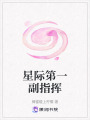 星際第一副指揮