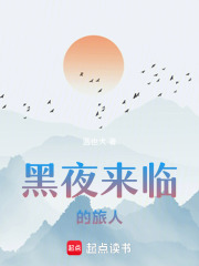 黑夜來臨的旅人