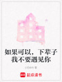 如果可以，下輩子我不要遇見你