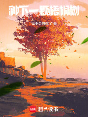 種下一顆梧桐樹
