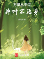 一閃一閃亮晶