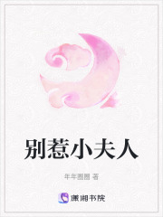別惹小夫人