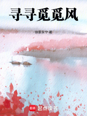 尋尋覓覓風(fēng)