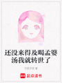 還沒來得及喝孟婆湯我就轉(zhuǎn)世了
