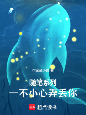 隨筆系列之一不小心弄丟你