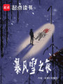暴風雪之夜