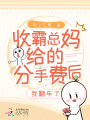 收霸總媽給的分手費后，我翻車(chē)了
