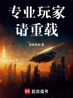 專業玩家請重載