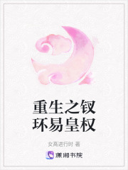 重生之釵環易皇權
