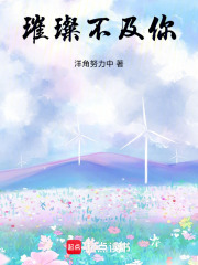 璀璨不及你