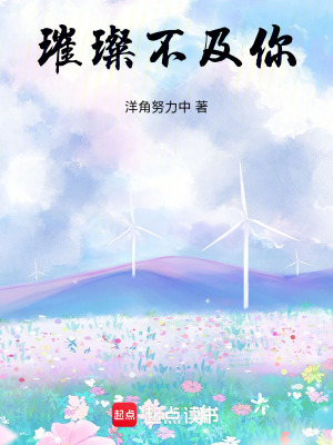 璀璨不及你