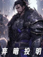 无删减版《弃暗投明》章节免费阅读-胖达文学