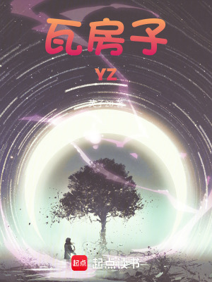 瓦房子YZ