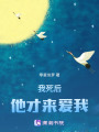 我死后他才來愛我
