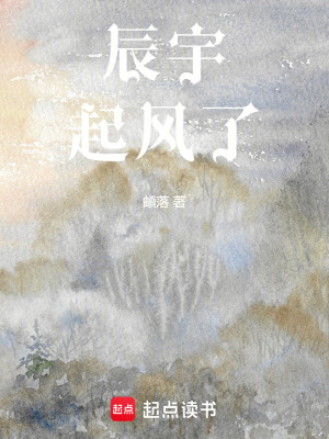 辰宇，起風了！