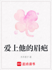 愛上他的眉疤