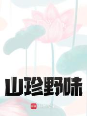 山珍野味免费阅读（林耀文叶晓婉）小说完结版-经典文学