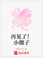 再見了！小傻子