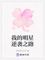 我的明星逆襲之路