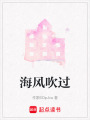 海風(fēng)吹過