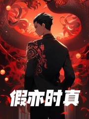 《假亦时真》小说章节列表免费试读，林笑张敬光小说在线阅读