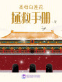 圣母白蓮花拯救手冊
