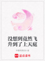 沒想到竟然飛升到了上天庭