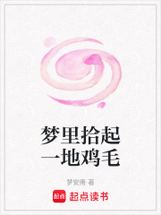 夢里拾起一地雞毛