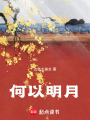 何以明月