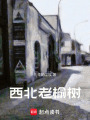 西北老榆樹