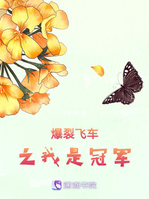 爆裂飛車之我是冠軍
