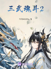 三武魂斗2