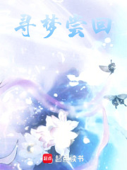 尋夢嘗回