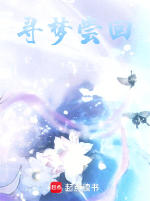 尋夢嘗回